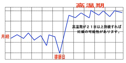 基礎体温と産み分け 男子産み分けに効く リン酸カルシウム